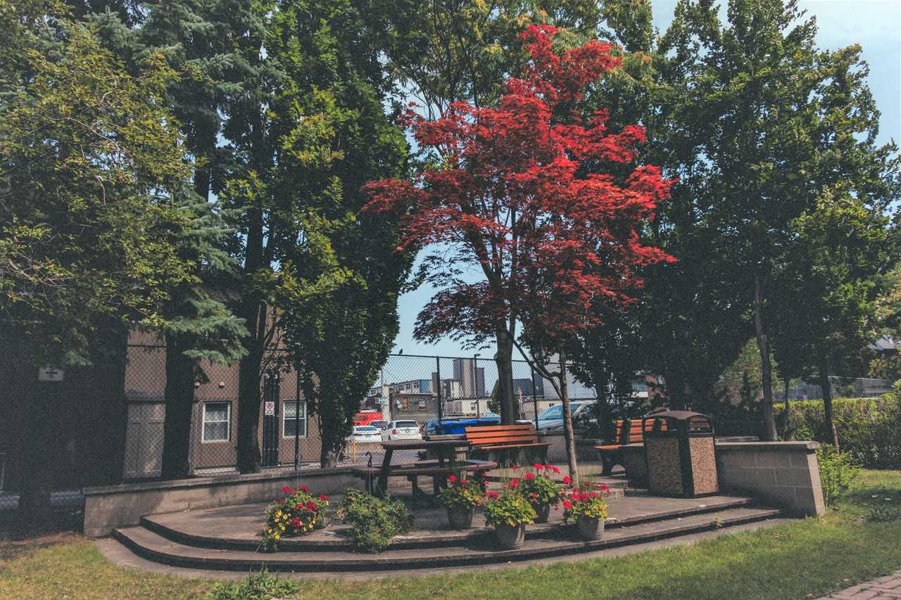 The Great Lakes College of Toronto - Photo 4 of 16