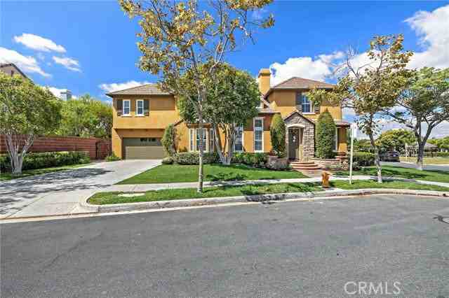 63 Tuberose St