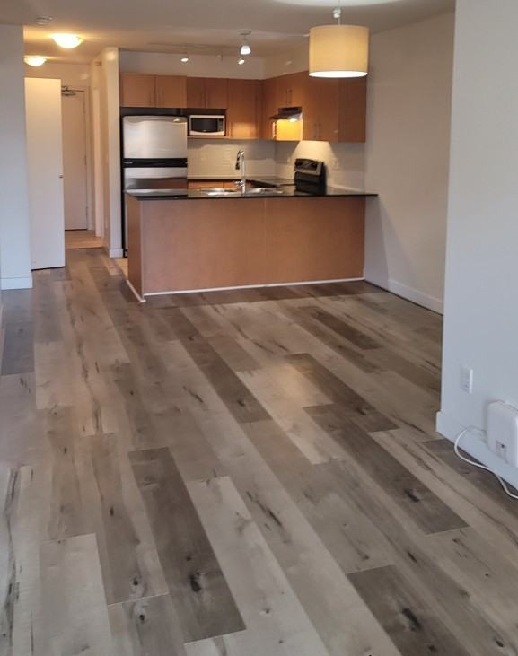 1633 Mackay Avenue #4th Floor - Photo 3 of 13