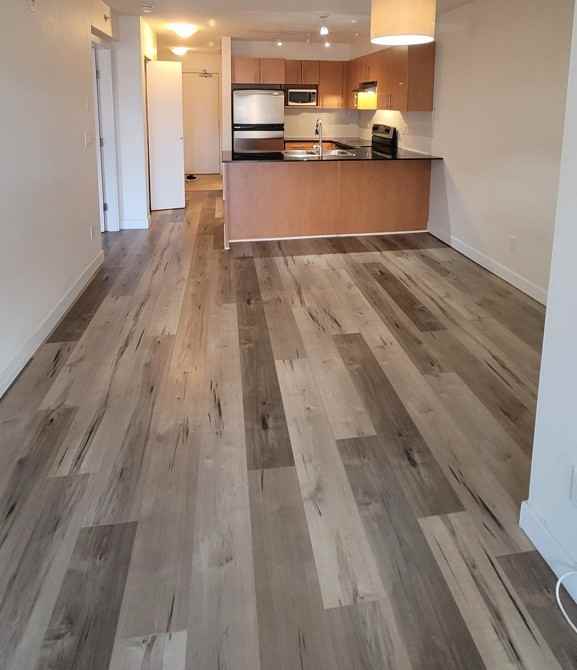 1633 Mackay Avenue #4th Floor - Photo 4 of 13