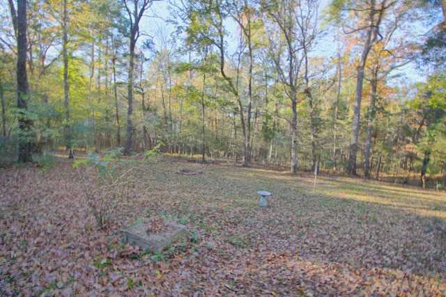 1819 Ivey Rd - Photo 5 of 20