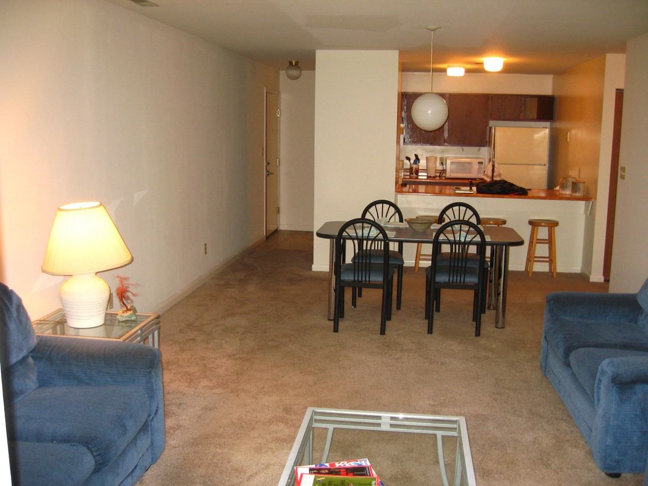 709 West Green Street - Photo 3 of 48