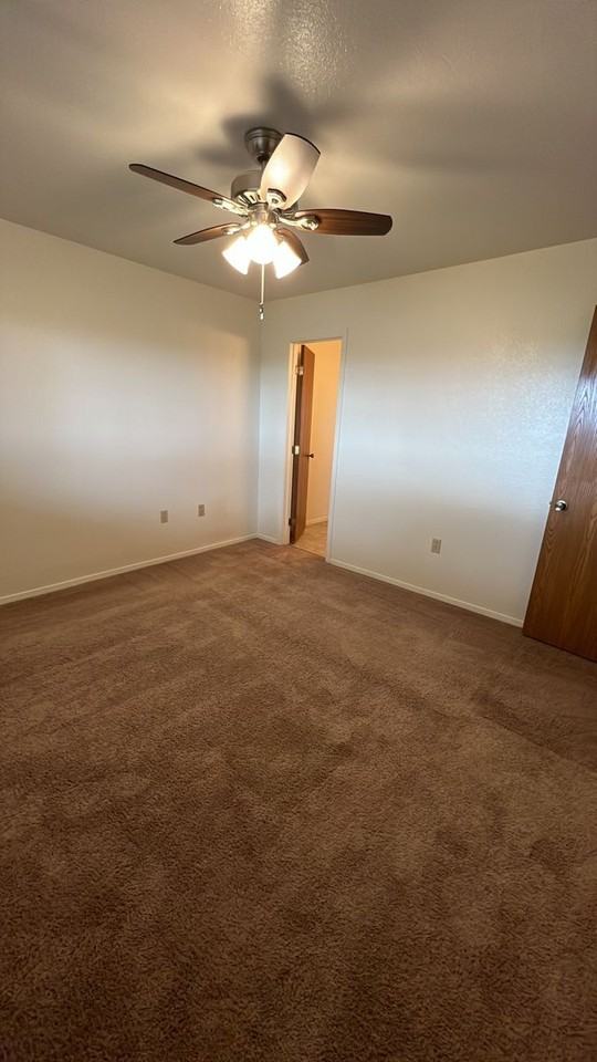 317 Black Elk Ct - Photo 5 of 8