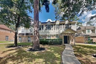 18202 Trace Forest Dr - Photo 1 of 1