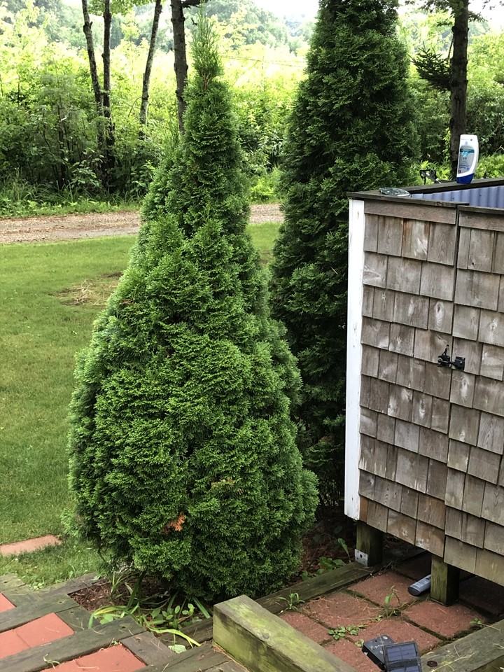 83 Burrington Rd #NA - Photo 2 of 14
