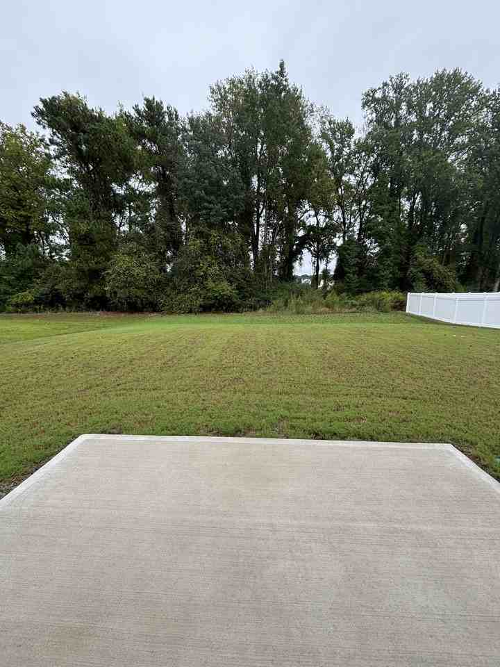 282 N Coral Bells Way #1 - Photo 5 of 38