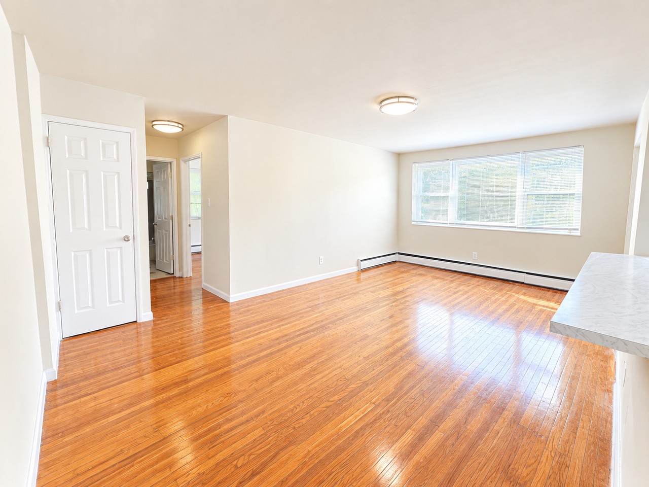 1621 Old York Road - Photo 3 of 12