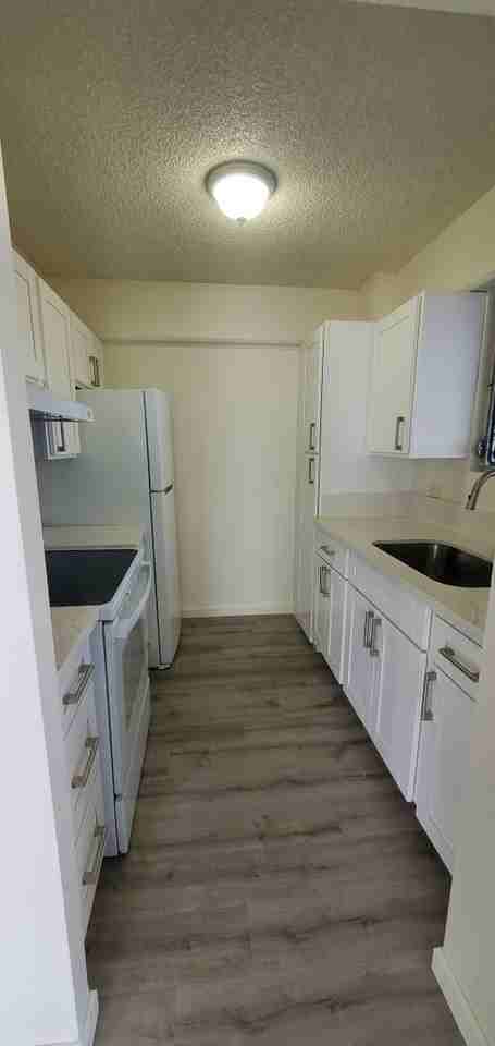 1635 Dole St #302 - Photo 7 of 13