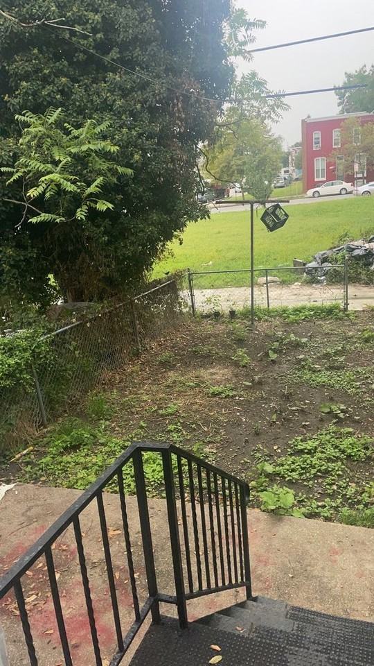 2406 Druid Hill Ave - Photo 2 of 20