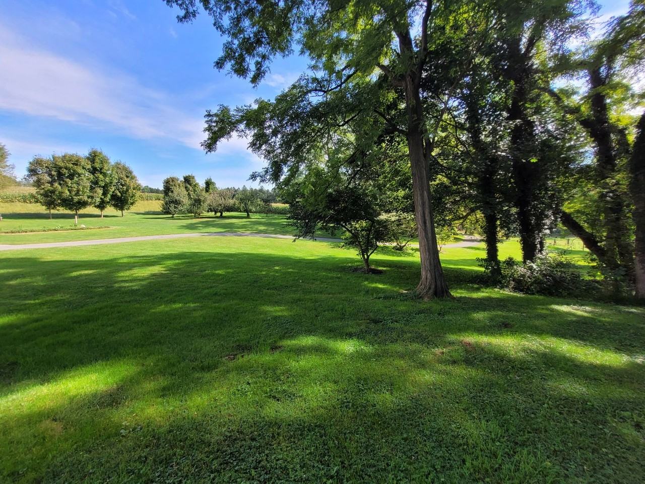 131 Pinetown Rd - Photo 4 of 49