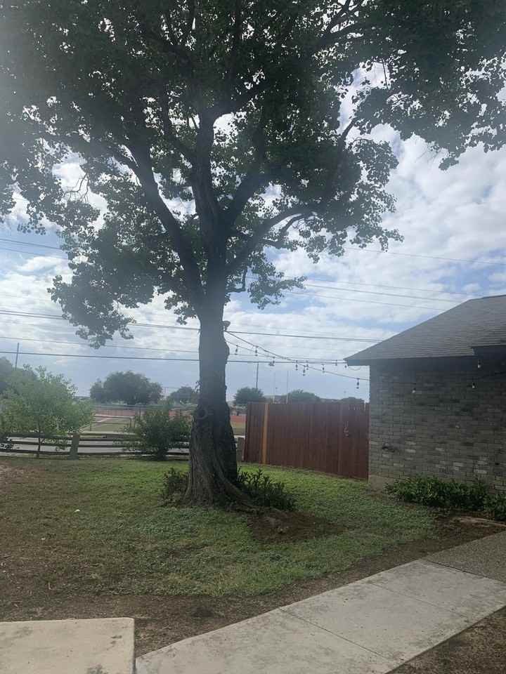 5207 Gawain Dr #5207 - Photo 2 of 20