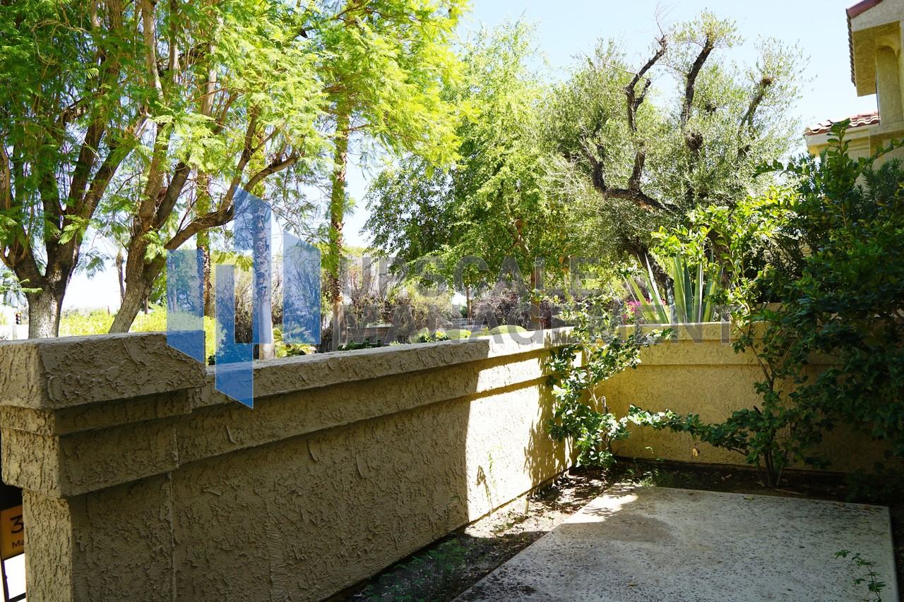 34003 Calle Mora #1 - Photo 4 of 26