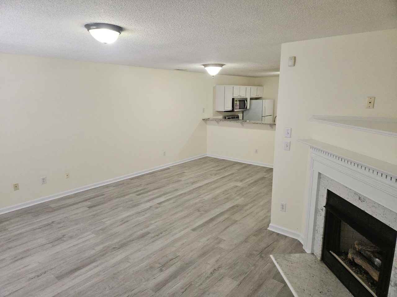 2225 Violet Bluff Ct - Photo 2 of 13