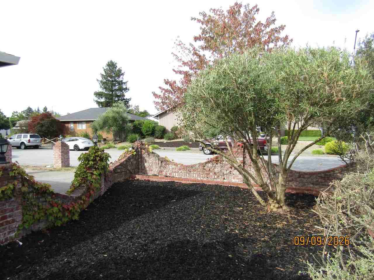 2354 Pinercrest Dr - Photo 2 of 13