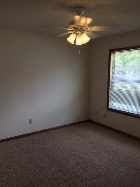 2308 Pineview Dr Apt B - Photo 5 of 6