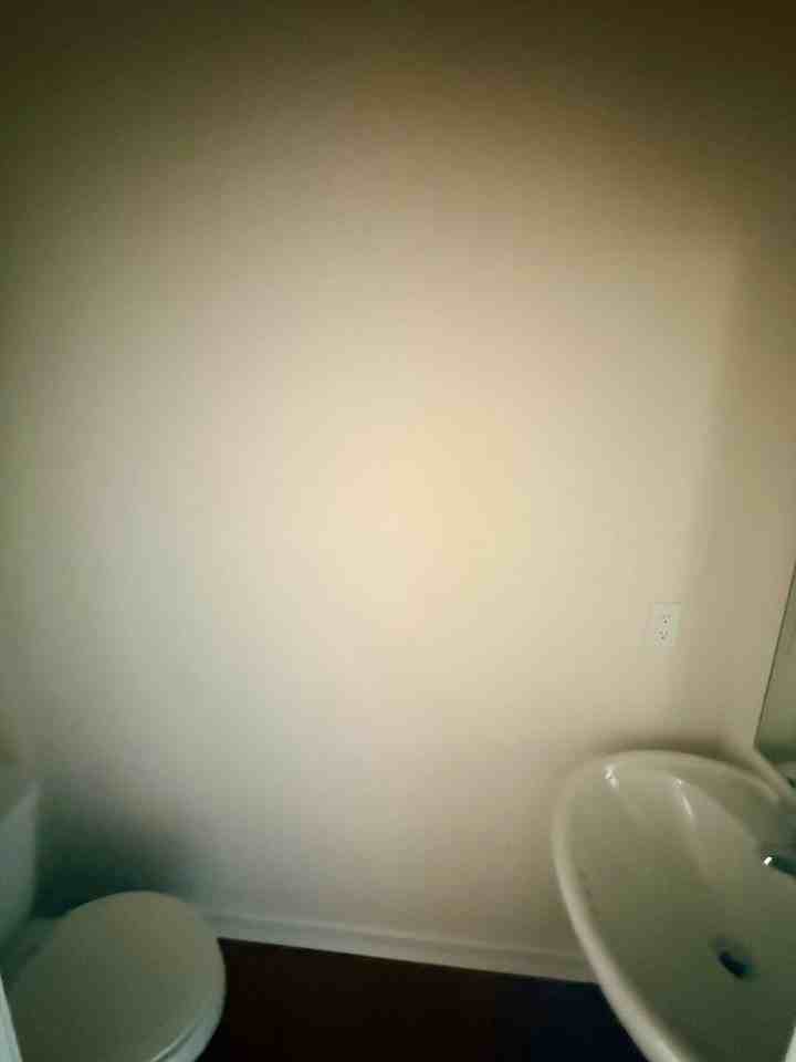 1017 Sycaten St - Photo 4 of 29