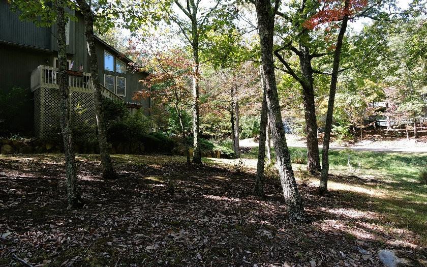 101 Wild Ct - Photo 3 of 24
