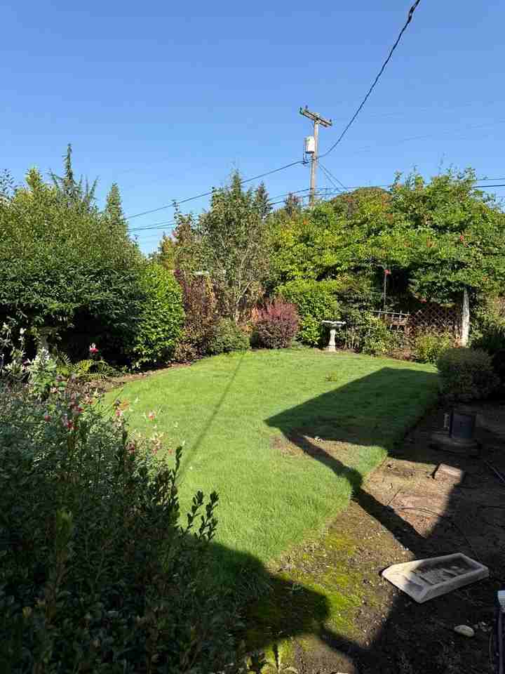 4649 39th Ave Ne - Photo 4 of 13
