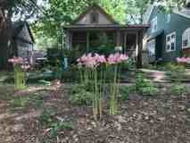504 E Elm St - Photo 1 of 1