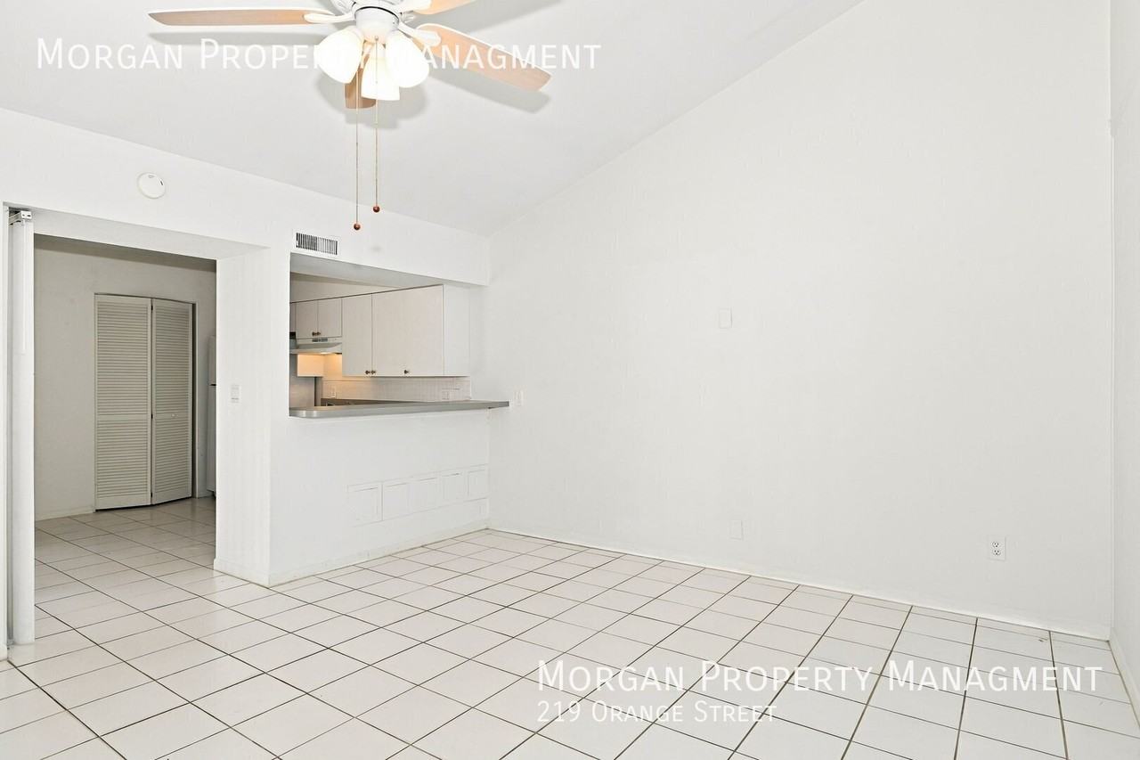219 Orange St - Photo 5 of 32