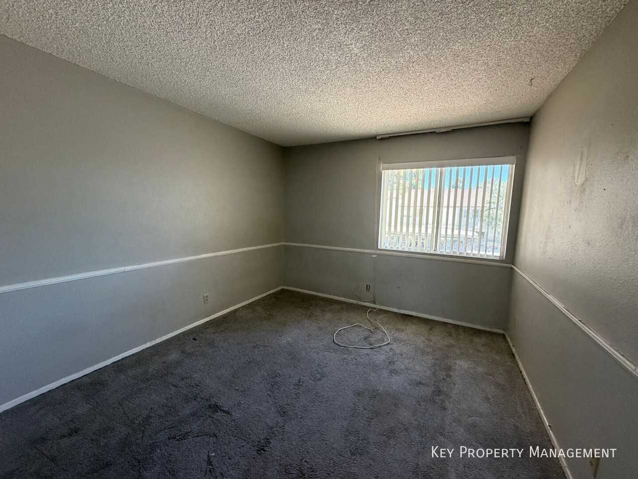 586 Willow Green Dr - Photo 4 of 19