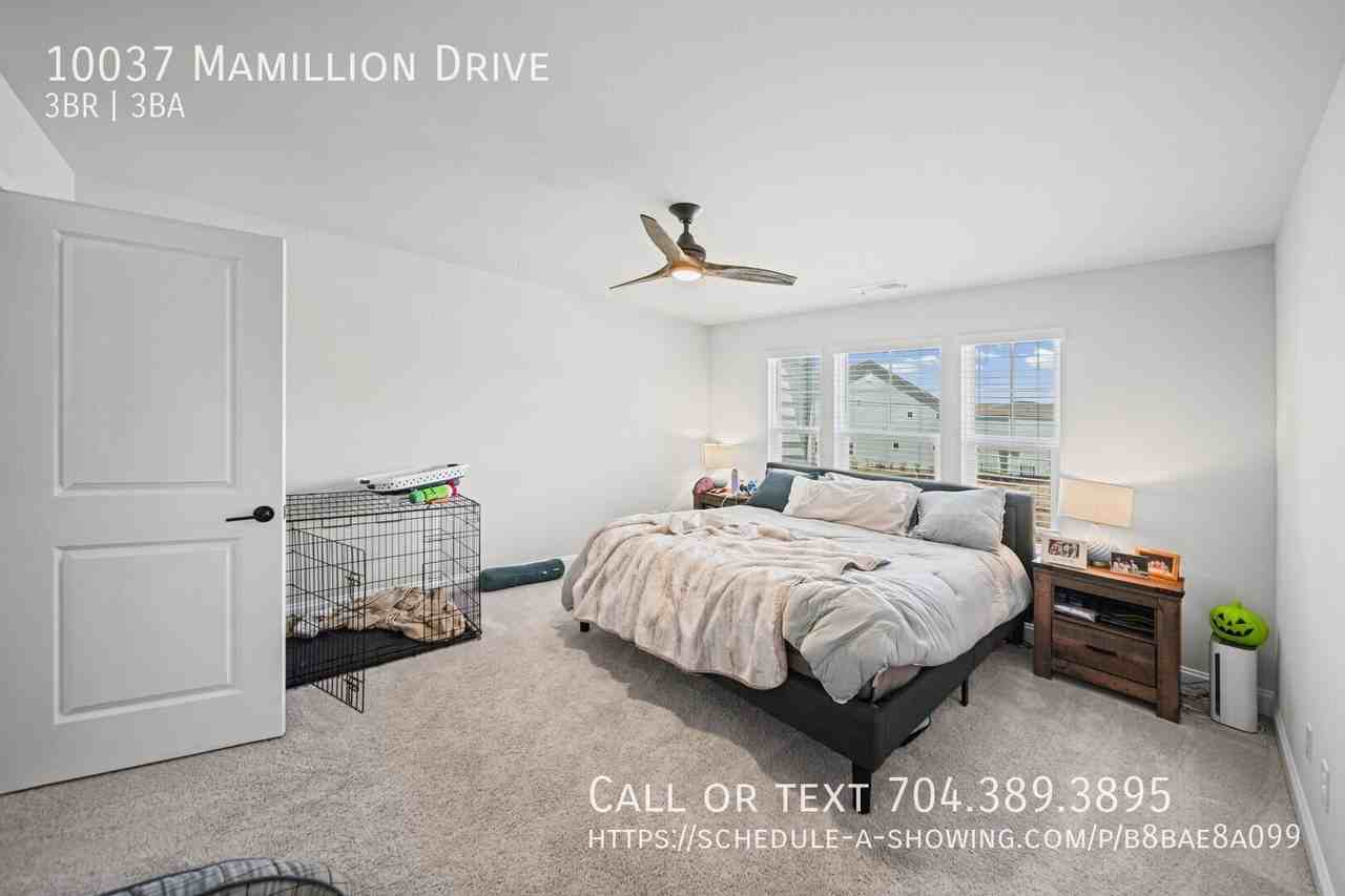 10037 Mamillion Dr - Photo 7 of 21