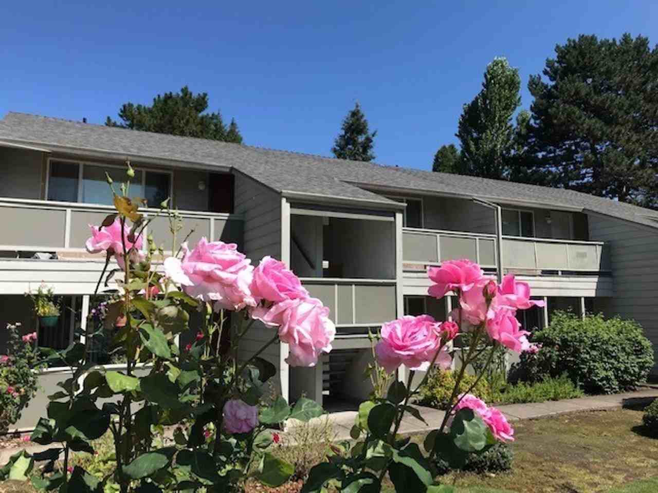 Madrona Apartments, LLC - Photo 3 of 28