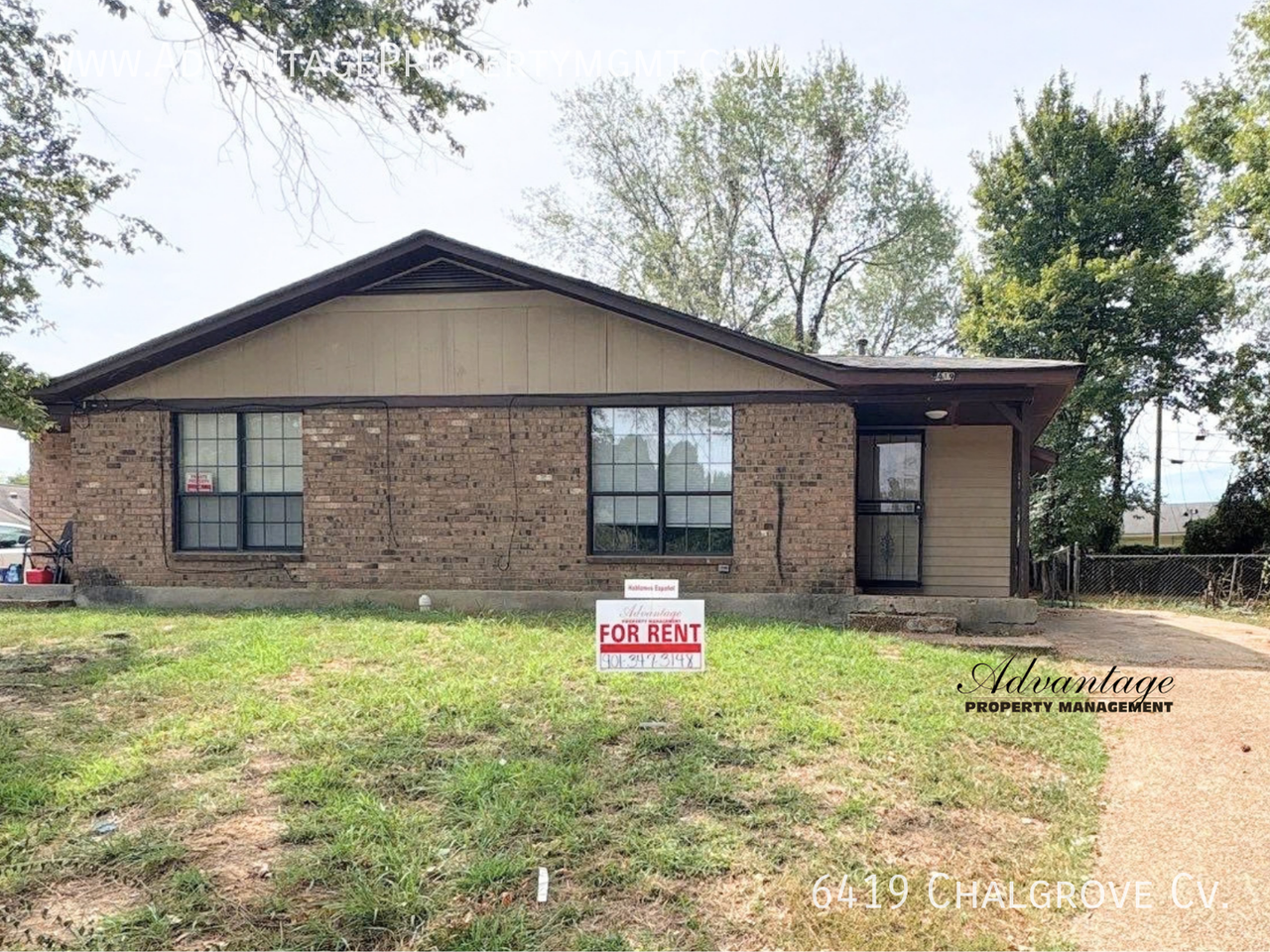 6419 Chalgrove Cv - Photo 2 of 23