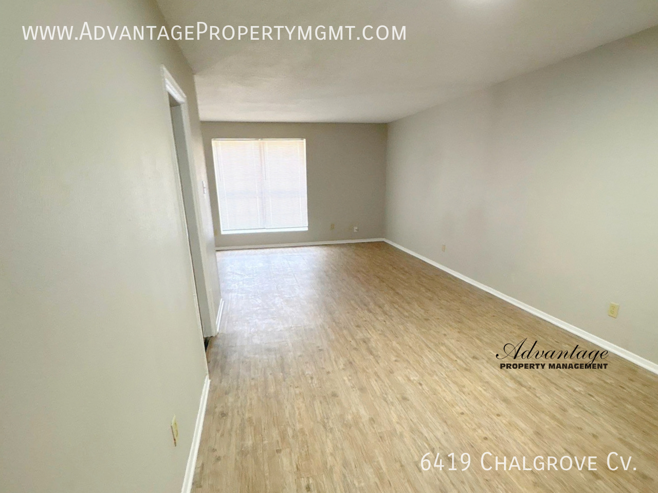 6419 Chalgrove Cv - Photo 5 of 23