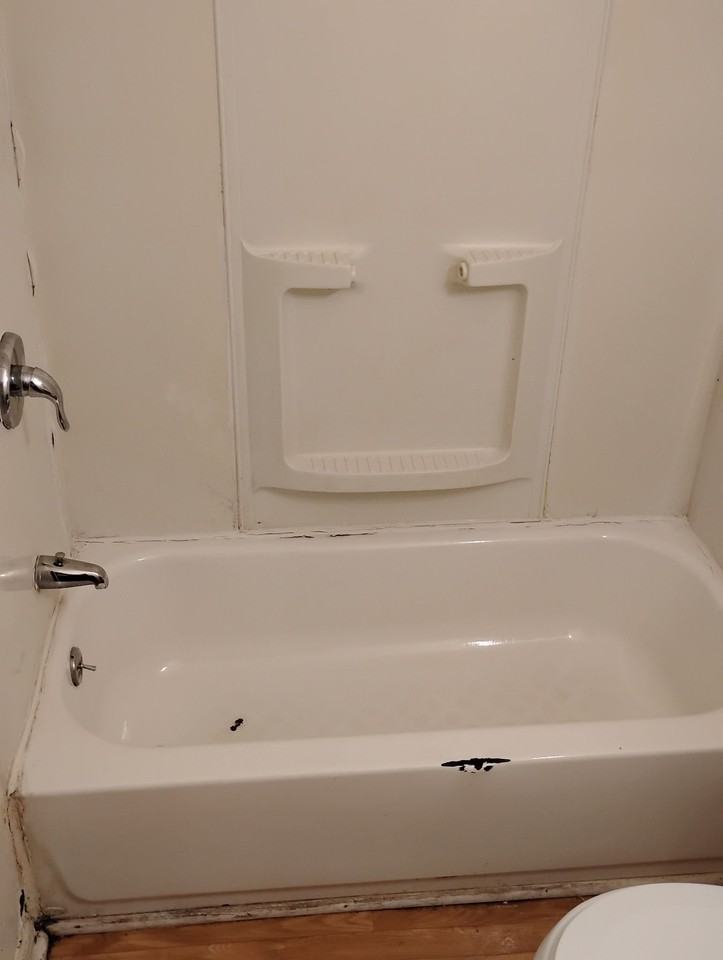 150 Lark St #1R - Photo 4 of 11