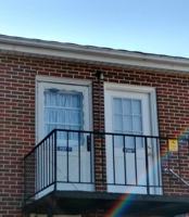 featured image of 737 1/2 Winchester Ave #0