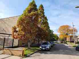 4807 West Thomas - Photo 1 of 1