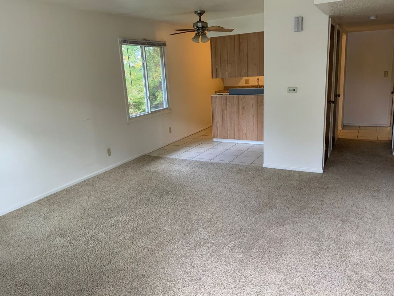 Starland Apartments - Photo 7 of 11