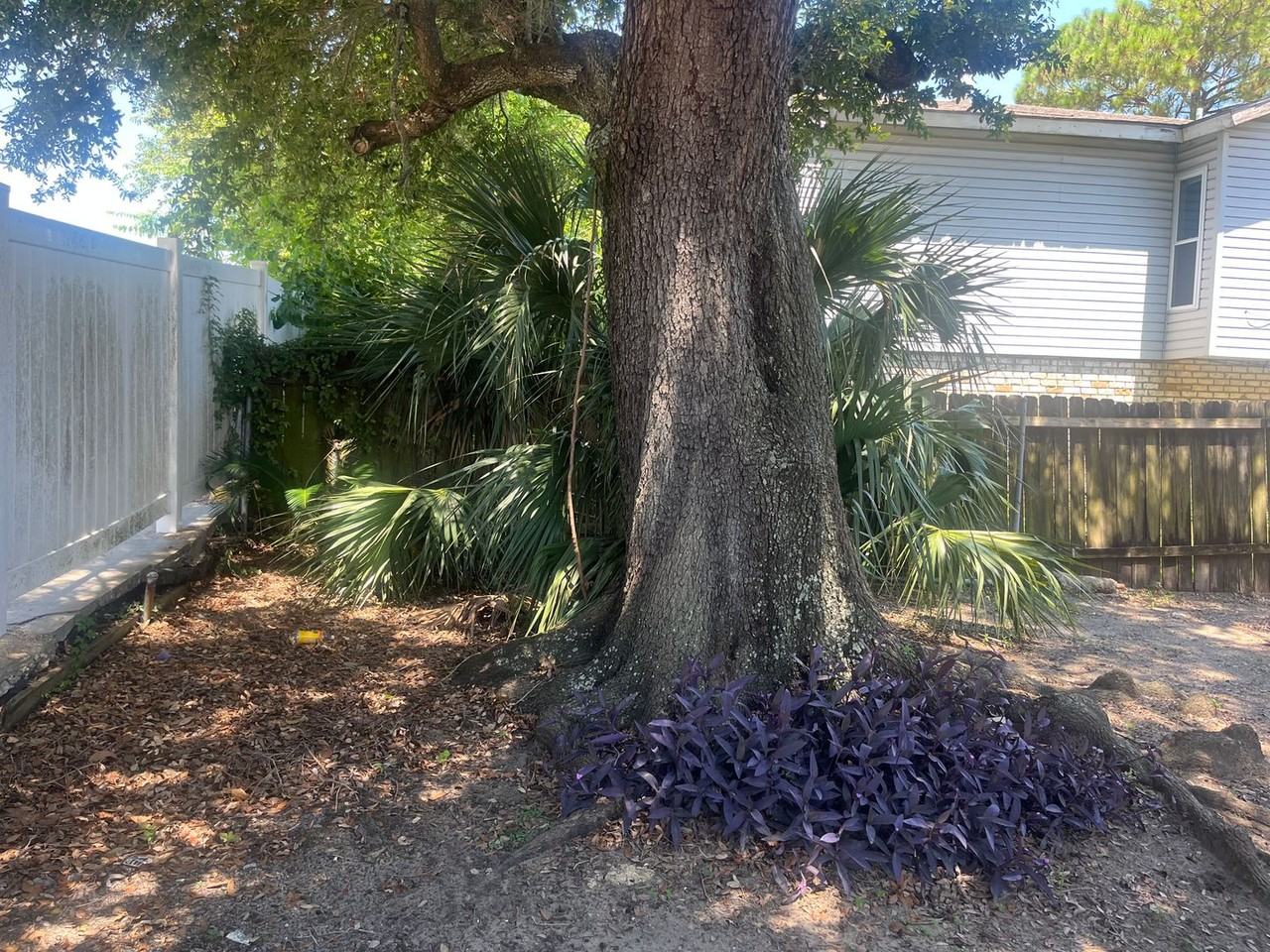 7302A Alabama St - Photo 2 of 8