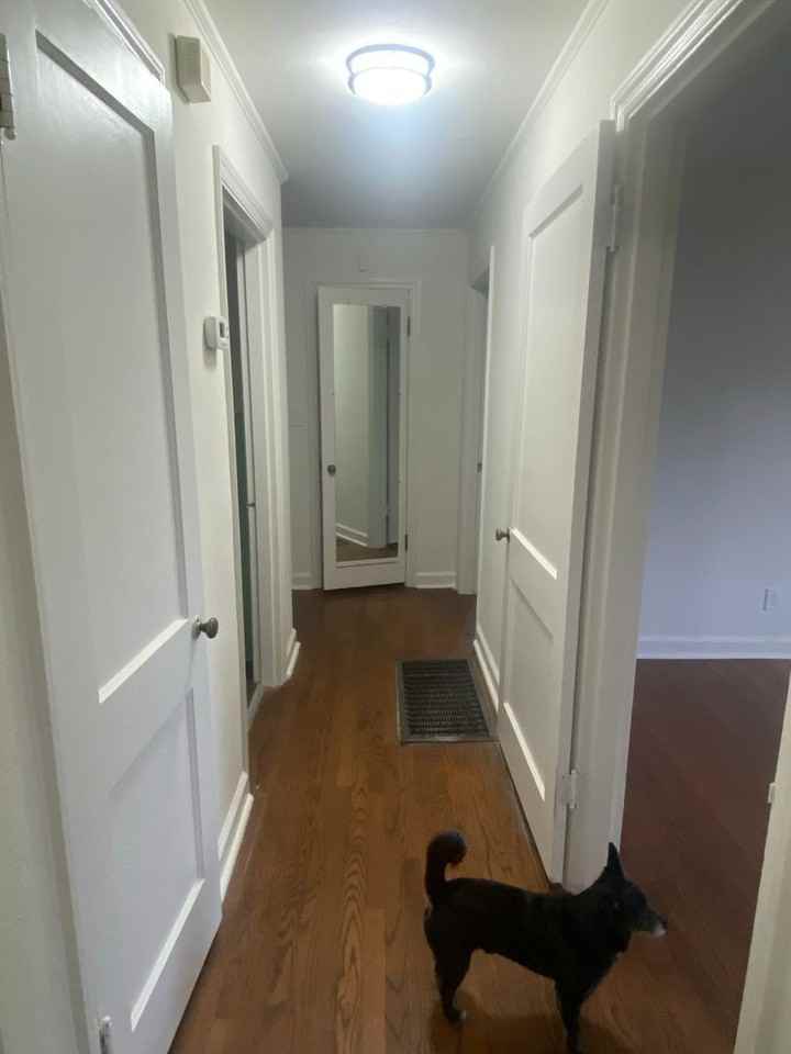 721 Shady Dr - Photo 3 of 13