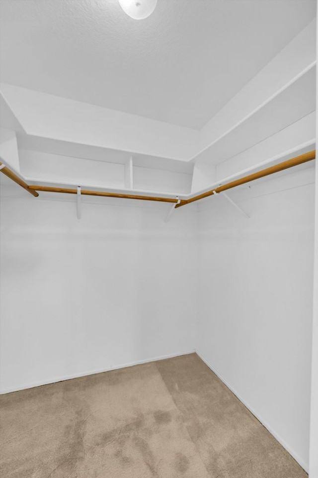 8327 Trimmer Way - Photo 6 of 38