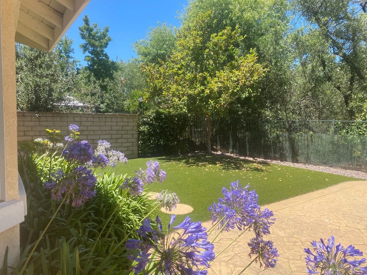4555 Calle Norte - Photo 4 of 10