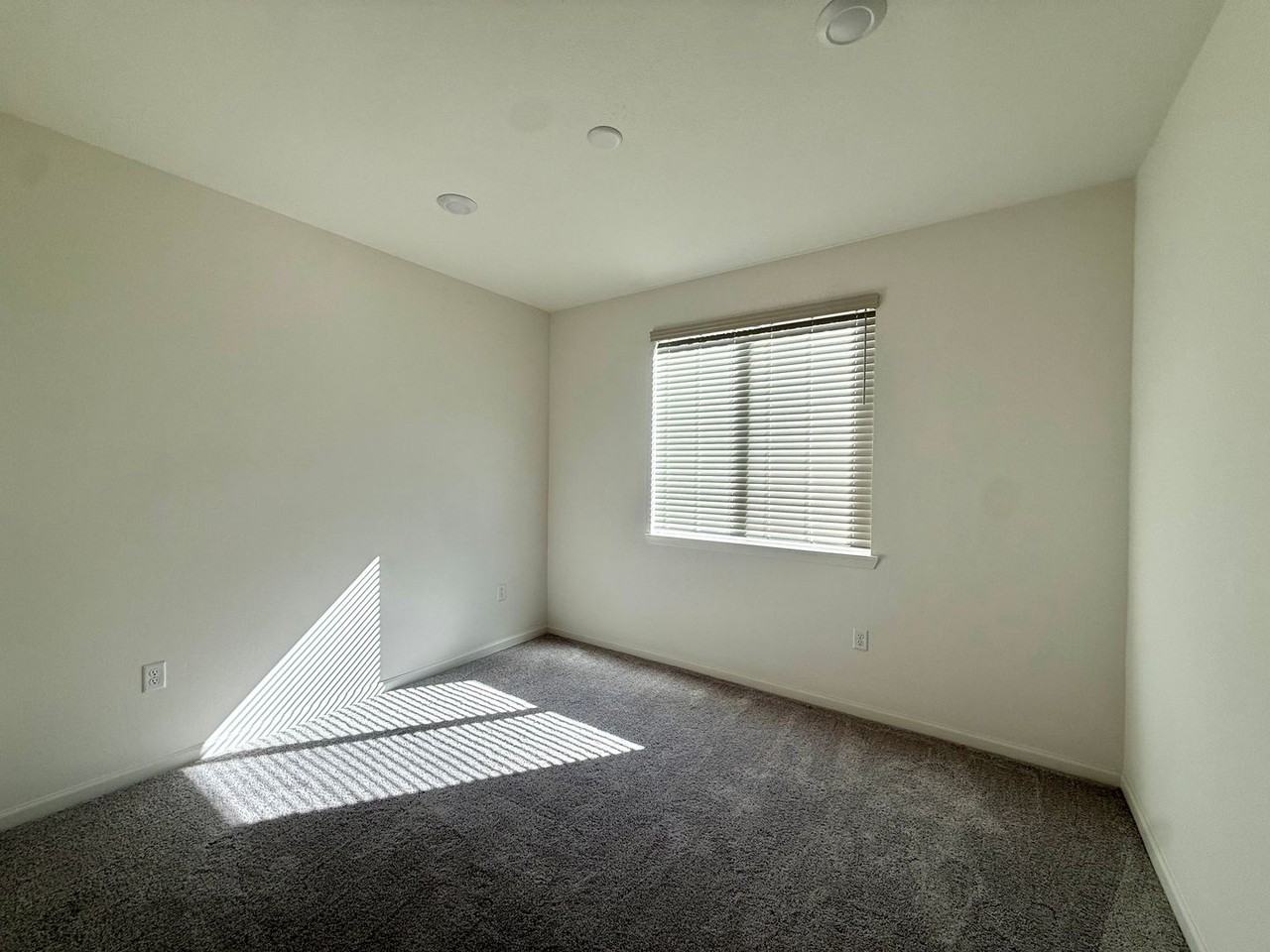 2081 Fuchsia Dr - Photo 7 of 14