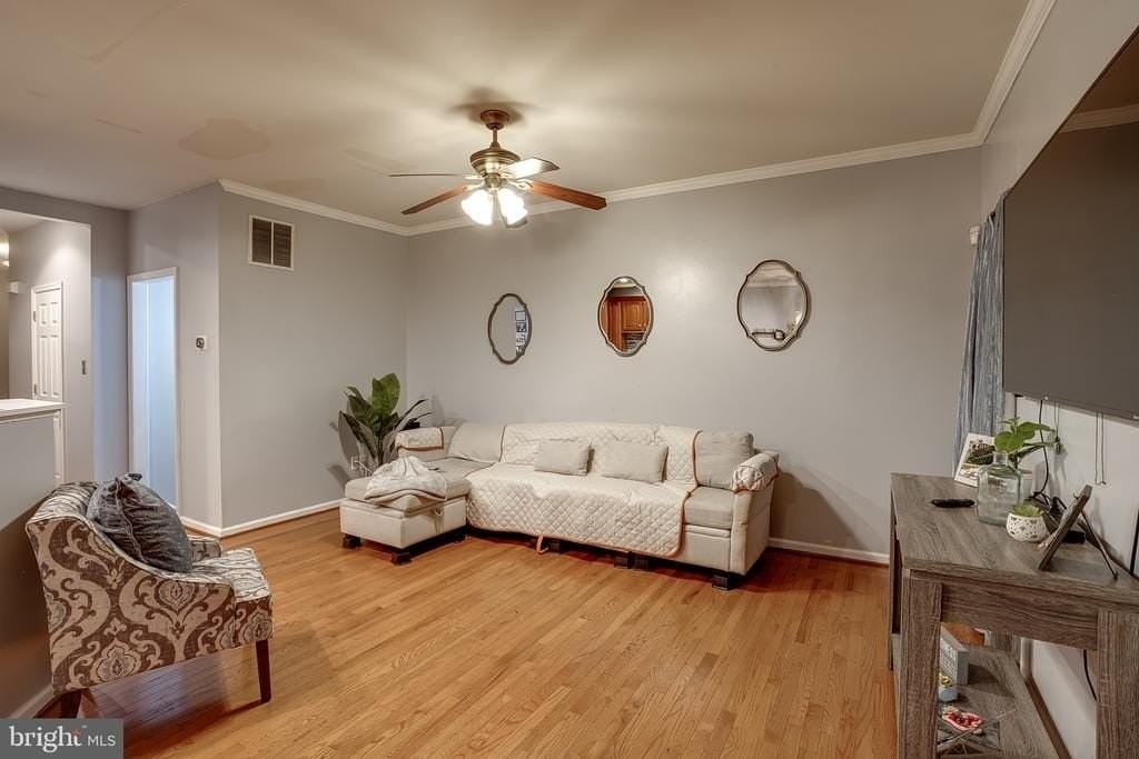8 Peppermint Dr - Photo 7 of 20