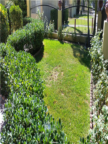 894 N Los Robles Ave - Photo 3 of 39