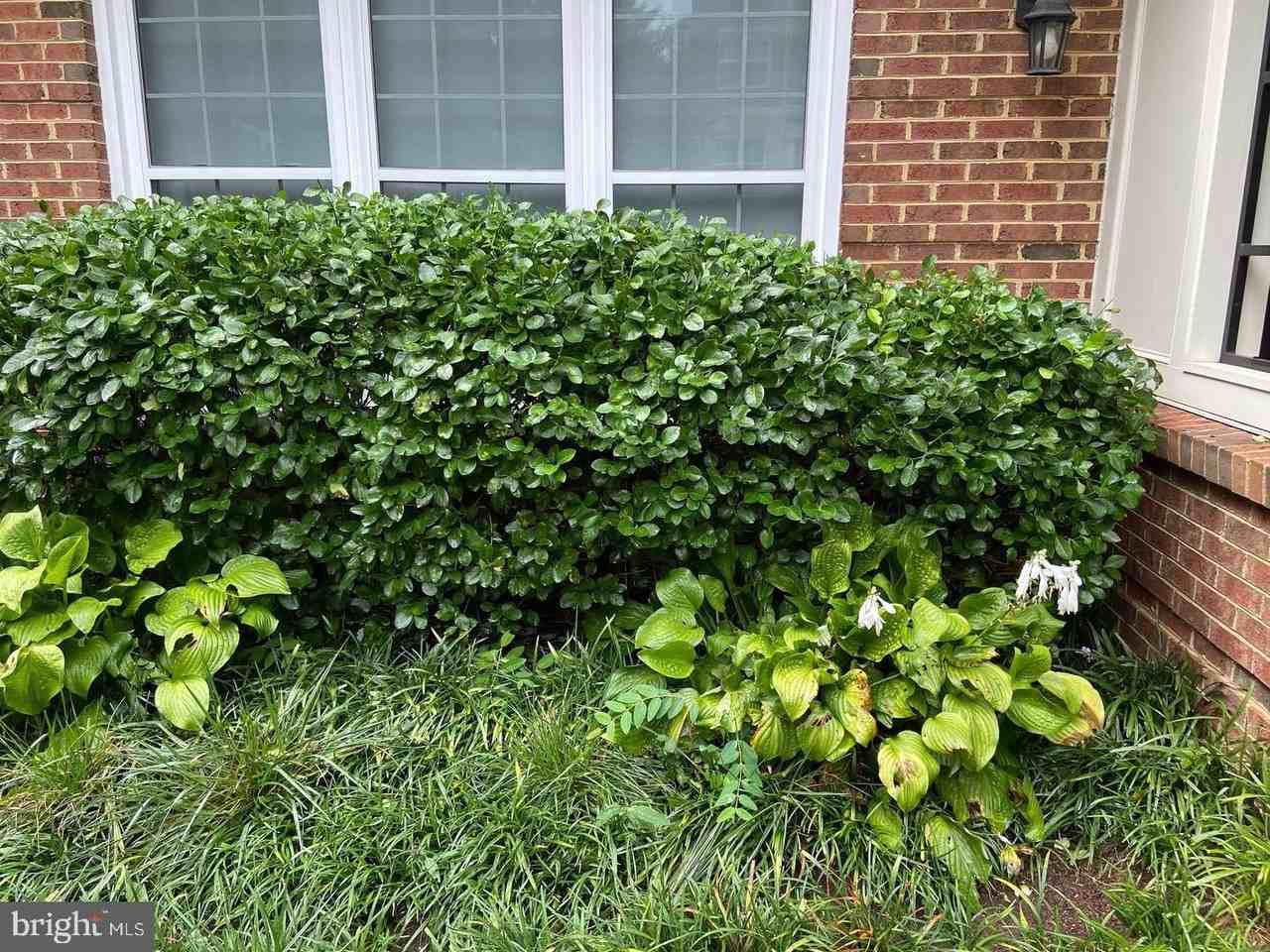 4465-A Beacon Grove Cir - Photo 3 of 39