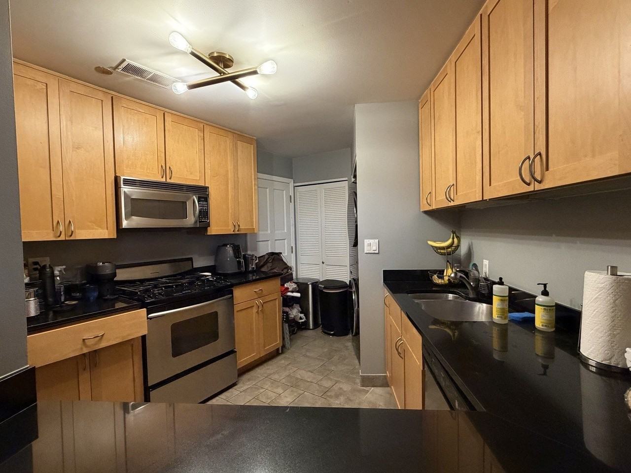 2100 N Racine Ave #2J - Photo 6 of 17