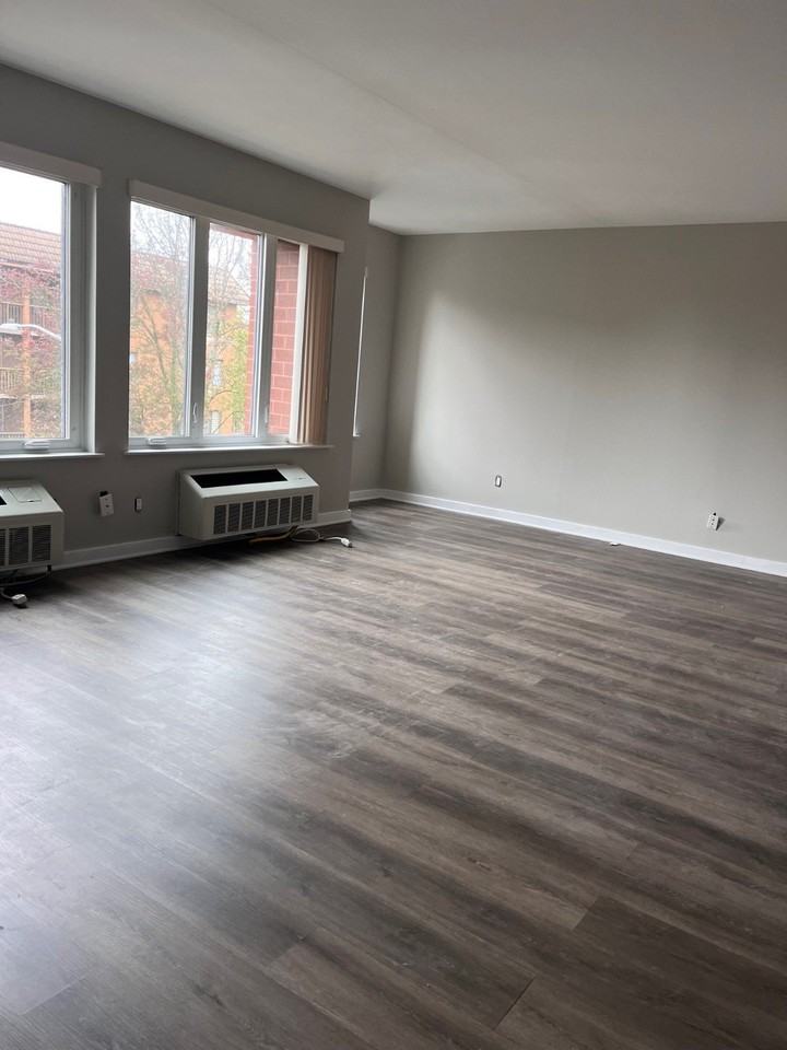 41 Wellington Ct #3A - Photo 6 of 16