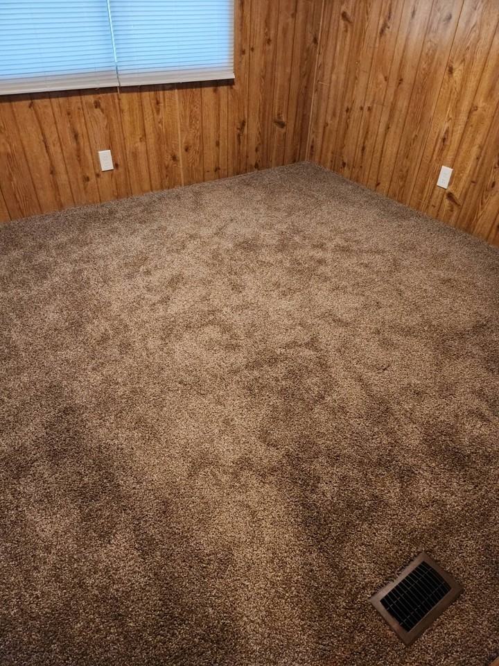 1103 Andrea Dawn Ln - Photo 4 of 26