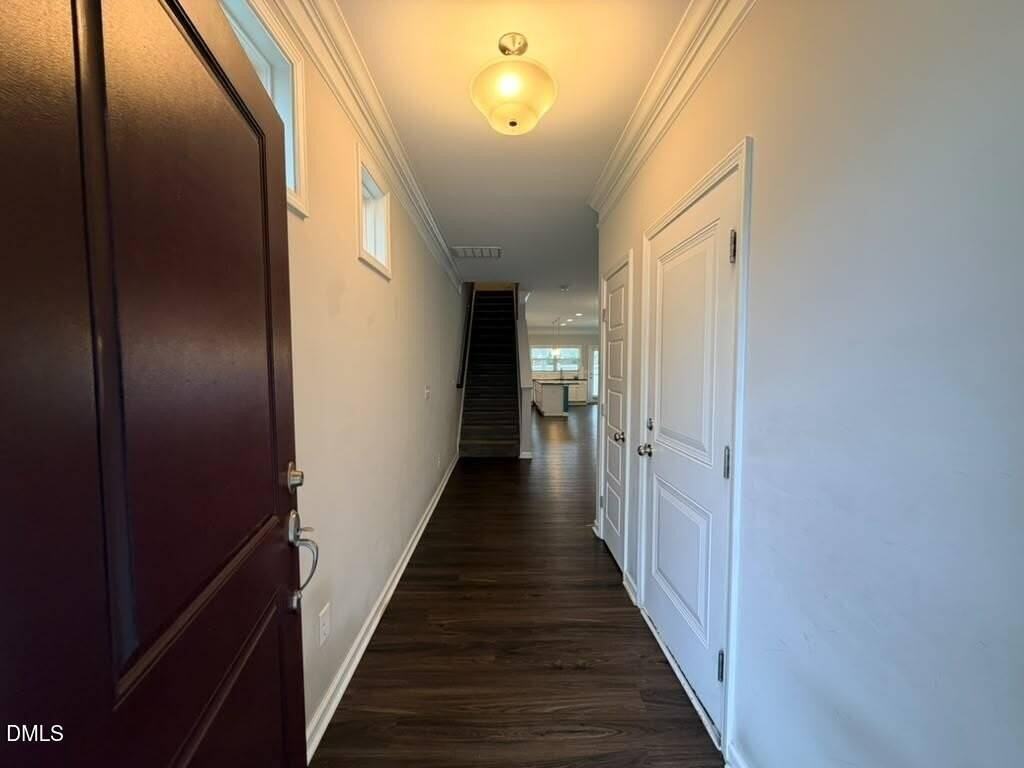 1244 Brown Velvet Ln - Photo 3 of 39
