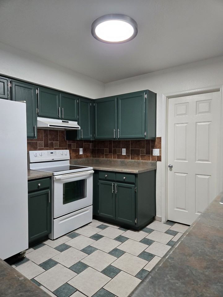 1191 Calle Chaparral - Photo 7 of 22