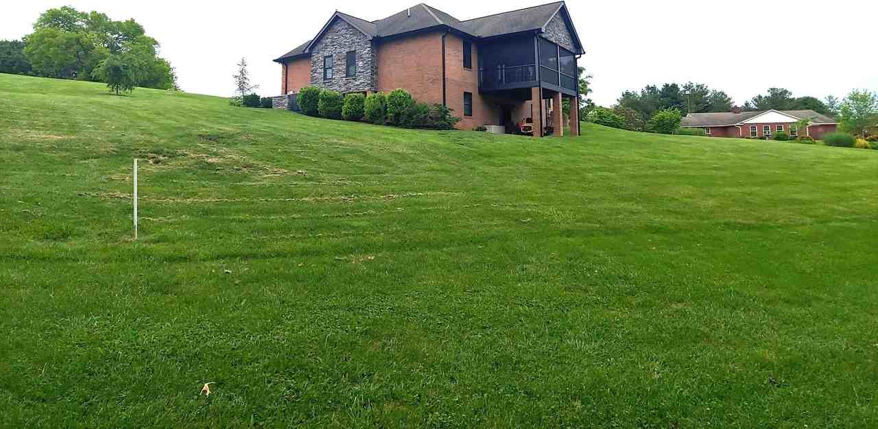 705 Constitution Dr - Photo 3 of 9