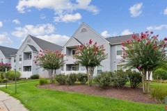 New Forest Apartments - Photo 1 of 1
