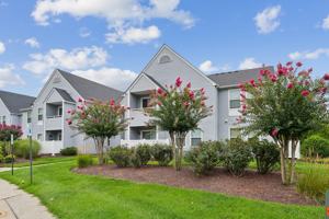 featured image of 6017 New Forest Ct