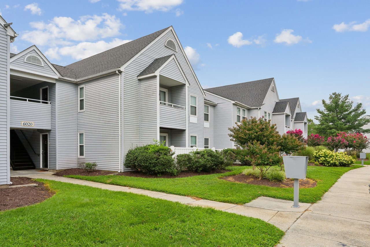 New Forest Apartments - Photo 2 of 17